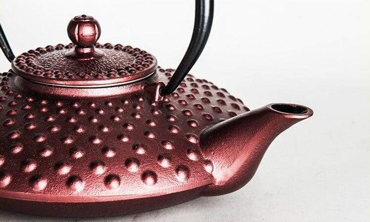 Teapot Hisa - Tea Pot