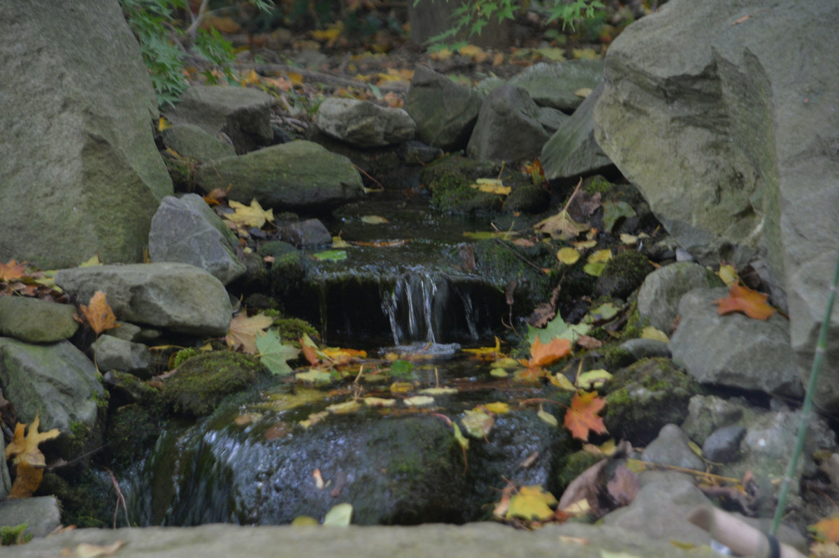 Zimmerbrunnen