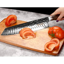 Kiritsuke Chef Messer Anzai