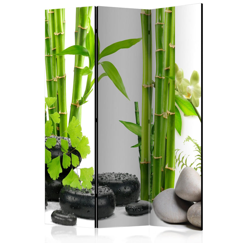 Paravent Bamboo