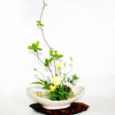 Ikebana Vase Nakayama ( 3 Farben )