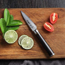 Shotoh Damascus Knife Kohana - Knives