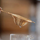 Tea Filter Chai - Tea Pot