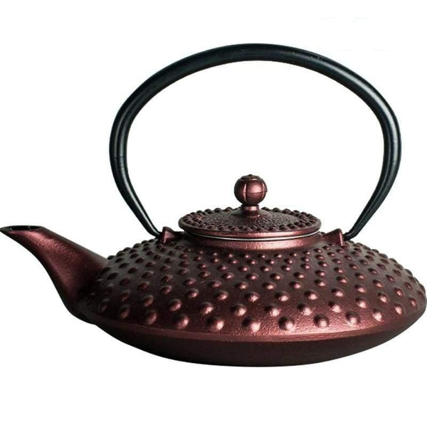 Teapot Hisa - Tea Pot